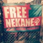 Free Nekane Demo in Zürich