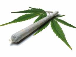 Wegen Cannabisanbau – Zu fünf Jahren verurteilt, sieben Jahre im Gefängnis