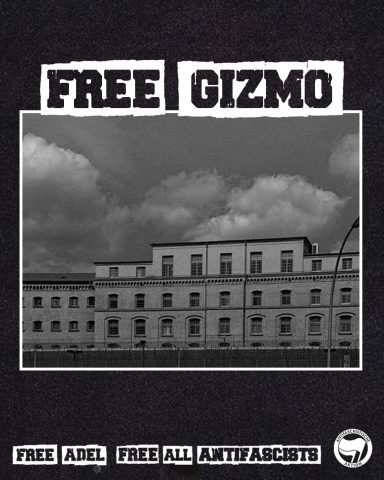 Free Gizmo